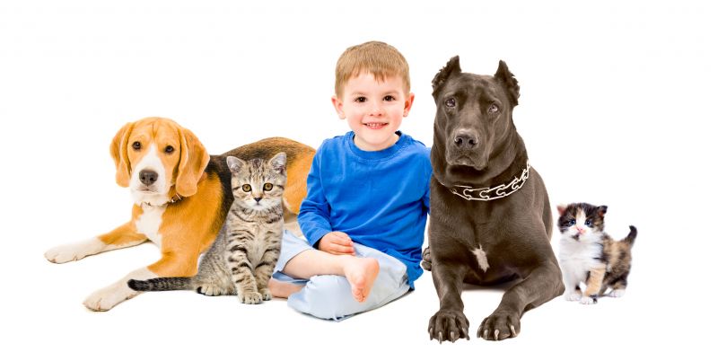 Pet Photos