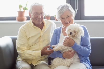 Contact About Pet Photos